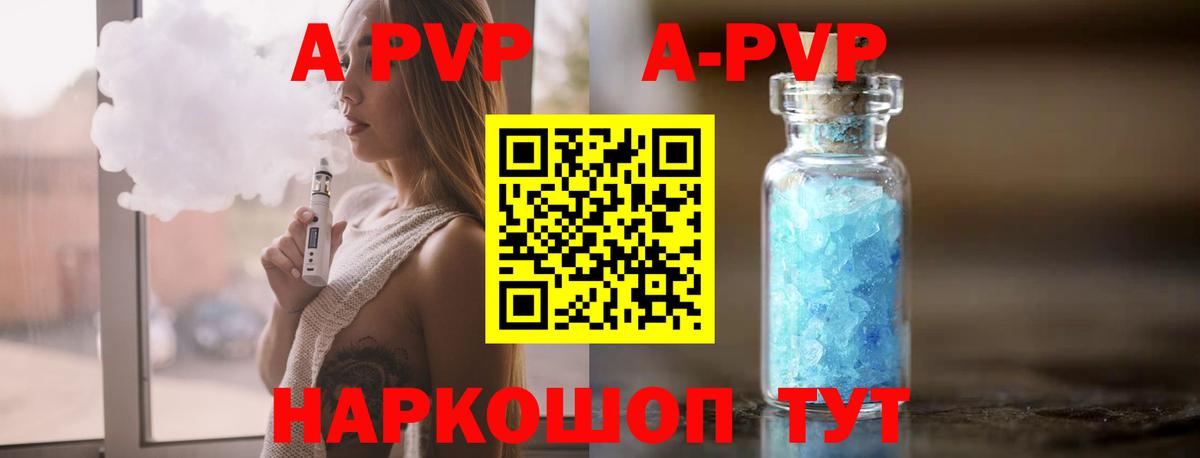 APVP СК Шатура