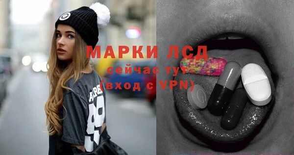 СК Ступино