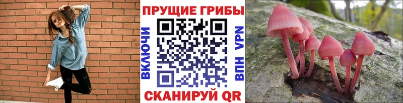 Псилоцибиновые грибы мухоморы  Шатура 
