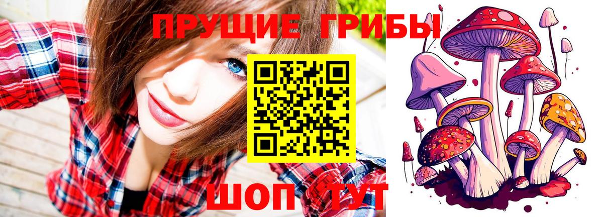 Псилоцибиновые грибы Magic Shrooms Шатура