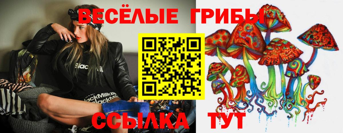Шатура  Галлюциногенные грибы GOLDEN TEACHER  Галлюциногенные грибы GOLDEN TEACHER  купить наркоту  Вход с VPN 